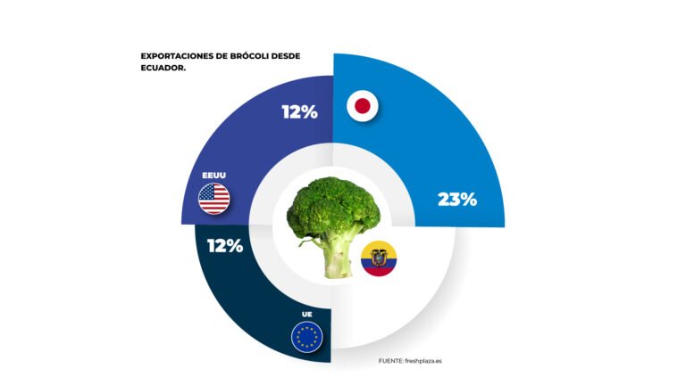 exportación de brócoli desde ecuador