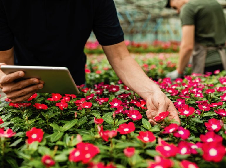 primer-plano-trabajador-irreconocible-que-usa-tableta-digital-mientras-revisa-flores-centro-jardineria-1024x683